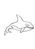 A coloring page of sea animal